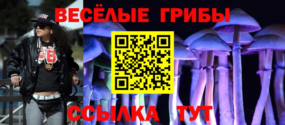 Артёмовский  Псилоцибиновые грибы мицелий  Вход с VPN  Псилоцибиновые грибы GOLDEN TEACHER 