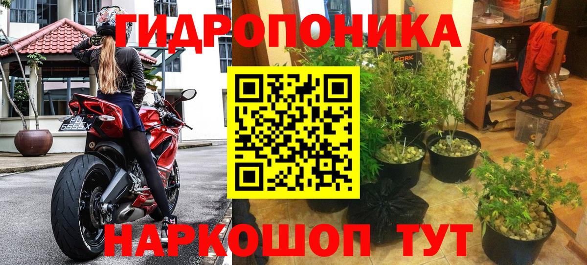 Канабис MAZAR Артёмовский